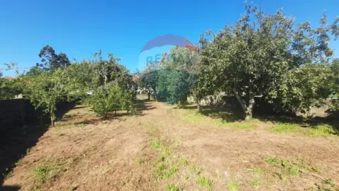 Terreno en Lugar de Seixeda