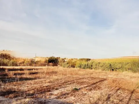 Terreno en Guadalupe