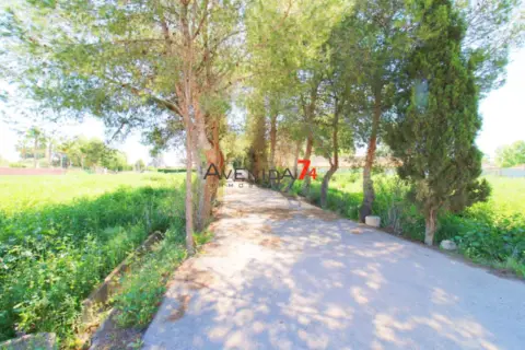 Finca rústica en Campillo