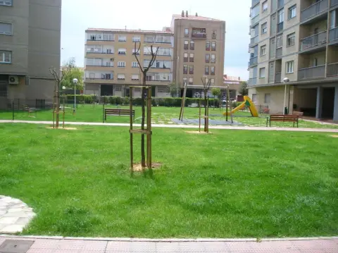 Piso en Avenida de Pascual Marquina