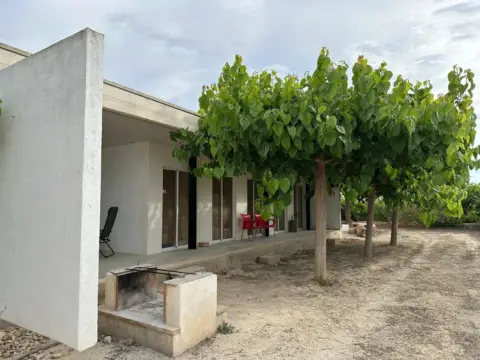 Finca rústica a calle calle Jorge Juan