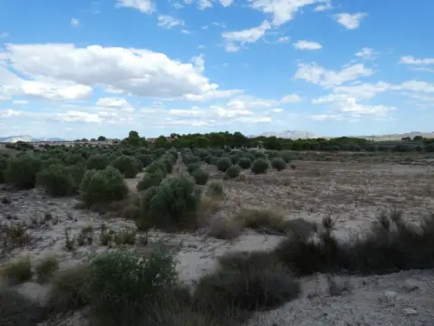 Terreno en Los Valientes