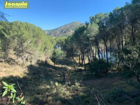 Terreno en Las Jaras - Assuan