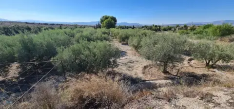 Terreno en Romeral