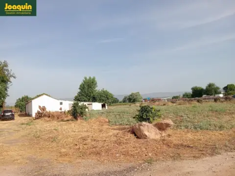 Finca rústica en Fátima
