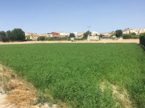 Terreno en Ribera de Molina