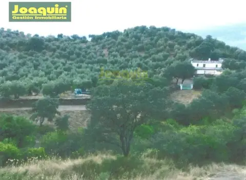 Terreno en Montoro