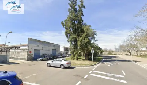 Piso en Avenida Vicente Sos Baynat