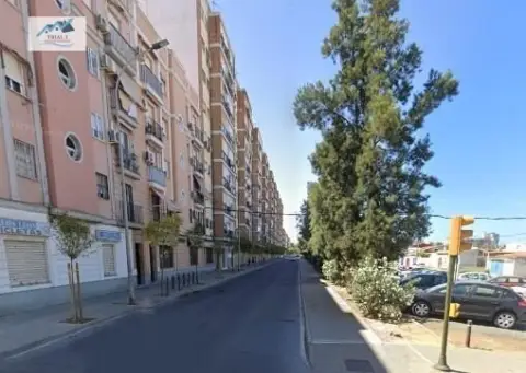 Piso en Avenida de Cristóbal Colón