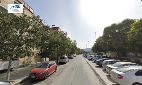 Piso en Avenida de los Chopos
