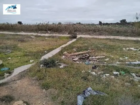 Terreno en calle los Olmos