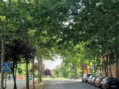 Piso en Avenida de las Retamas