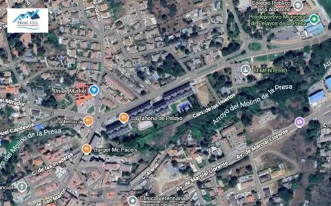 Piso en Avenida de Nicasio Hernández Redondo