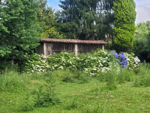Finca rústica en calle Pazo de Maroxo 15189