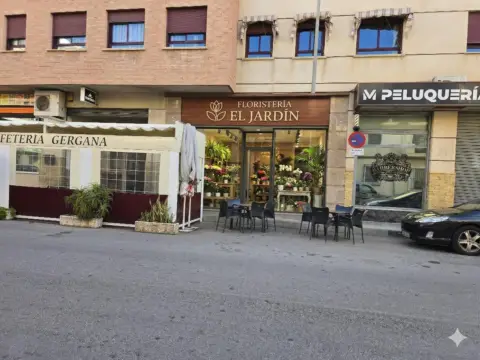 Local comercial en Zona Centro