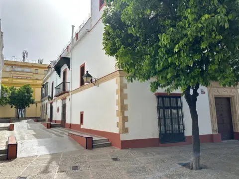 Pis – Jerez de la Frontera, La Plata, Campiña de Jerez