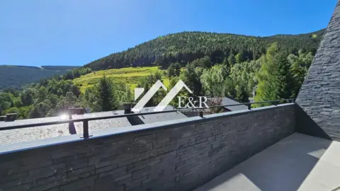 3-bedroom chalet for sale in La Massana · 42 of 60