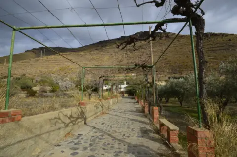 Finca rústica en calle Balsa Grande
