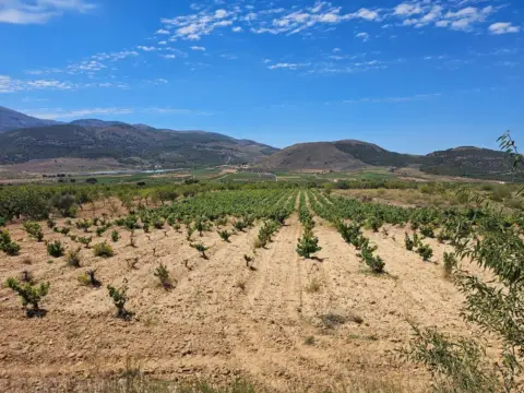 Finca rústica en calle Carretera Guarros