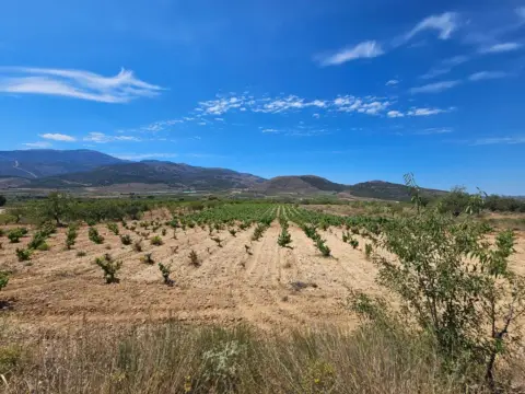 Finca rústica en calle Carretera Guarros