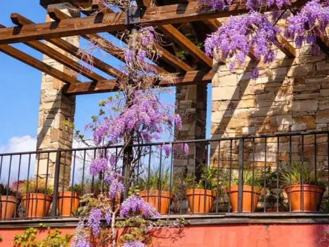 Casa en El Chaparral 5