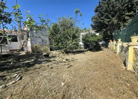 Chalet en Cortijo de Maza-Finca Monsalvez-El Olivar