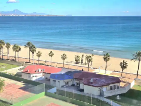 Piso en calle del Músico José Mira Figueroa