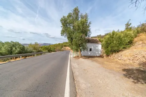 Finca rústica en calle Polígono 15 Parcela 110 Mojonera. Lanjaron (Grana, nº 15