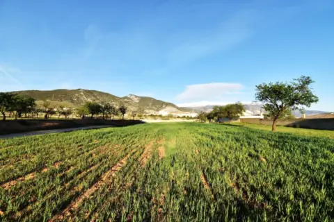 Terreno en South Of Spain