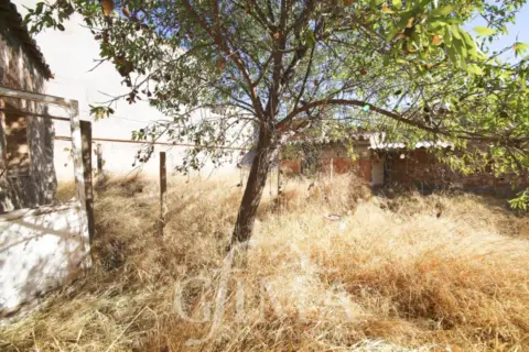 Terreno en Zona calle del Carmen