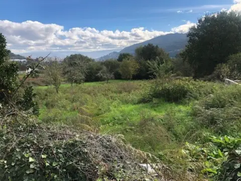 Terreno en calle Cs Pallota, nº 1