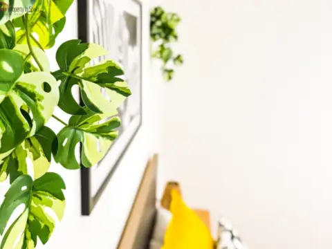 Habitación en calle del Pintor Gisbert