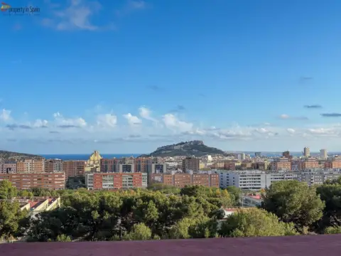 Piso en Ciudad Elegida