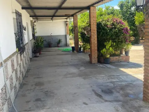 Finca rústica en Carretera Arcos San José del Valle