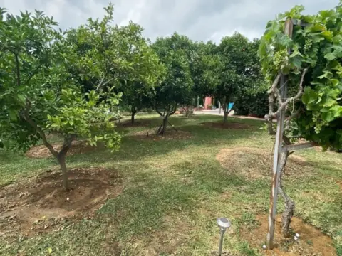 Finca rústica en La Sierpe