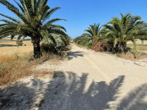 Finca rústica en Carretera Arcos Algar