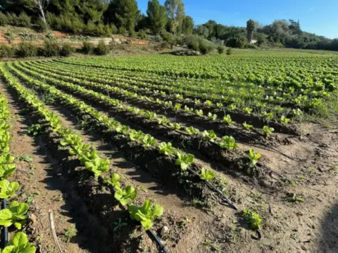 Terreno en El Drago