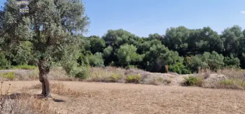 Terreno en Carretera Arcos Algar