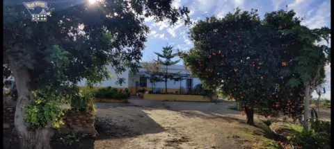 Finca rústica en El Romeral