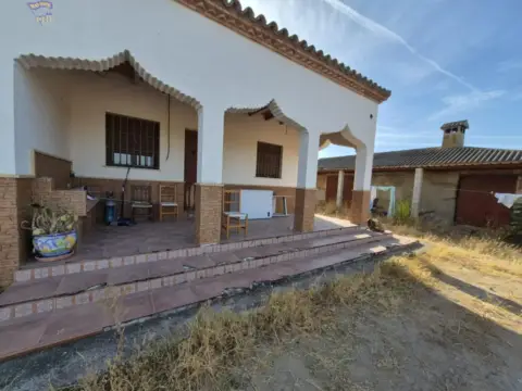 Finca rústica en Venta El Pavo