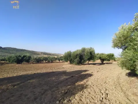 Finca rústica en Carretera Arcos Algar