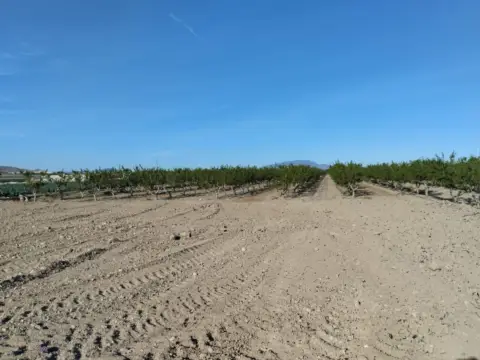 Terreno en Lebor