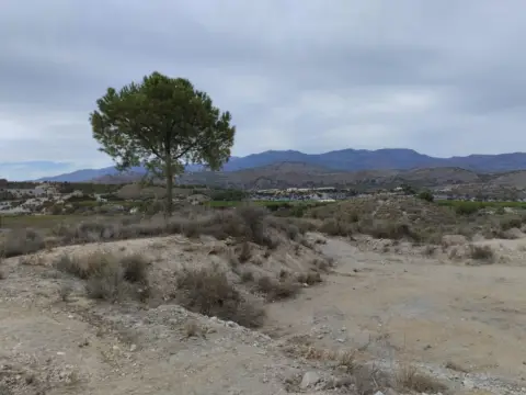 Terreno en El Amarguillo