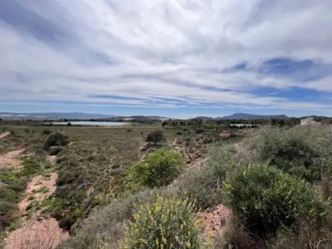 Terreno en Diputacion de Morti