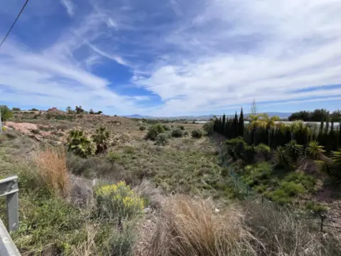 Terreno en Diputacion de Morti