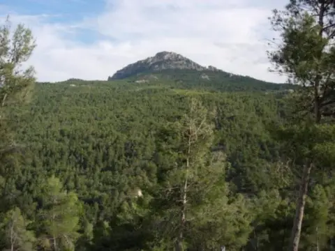 Terreno en Moratalla