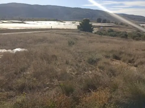 Terreno en Las Canales 1