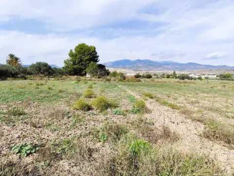 Terreno en Totana