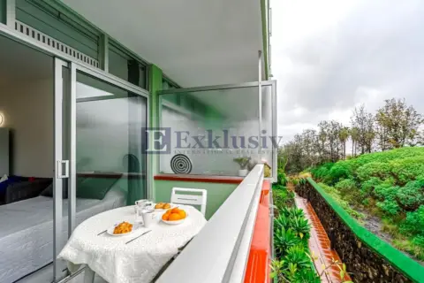 Estudio en Puerto de La Cruz