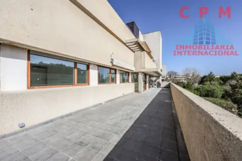 Piso en Encinar de los Reyes